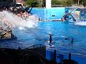 Sea World-128